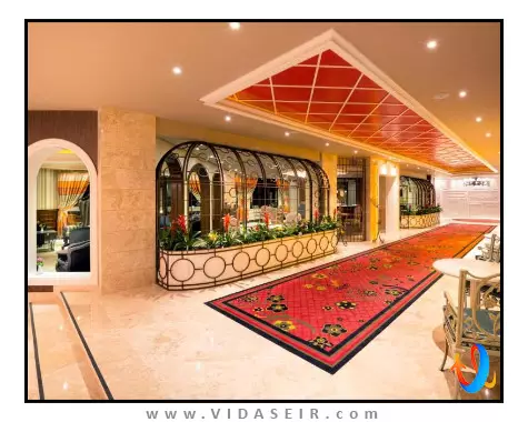 اولیو تری قبرس شمالی