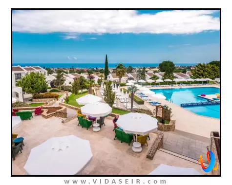 اولیو تری قبرس شمالی