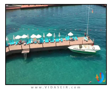 اینفینیتی بای یلکن کوش آداسی