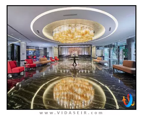 باس سنگاپور