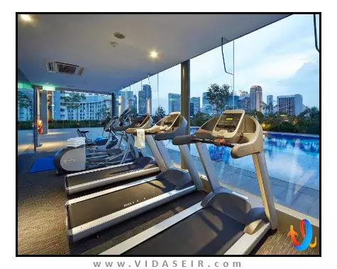 باس سنگاپور