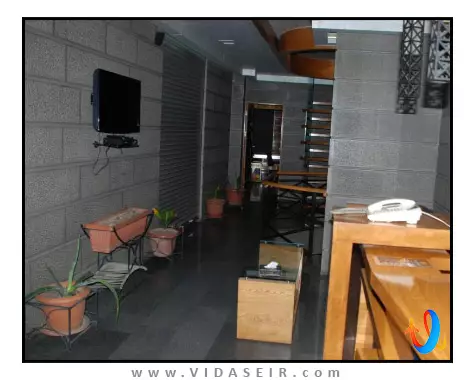 باکسوس ایروان