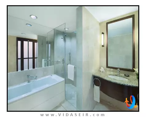 بریستول دبی