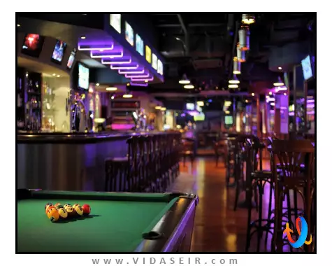 بریستول دبی