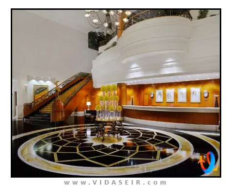 بریستول دبی