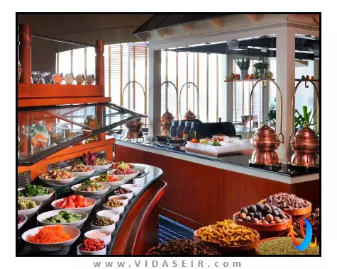 بریستول دبی