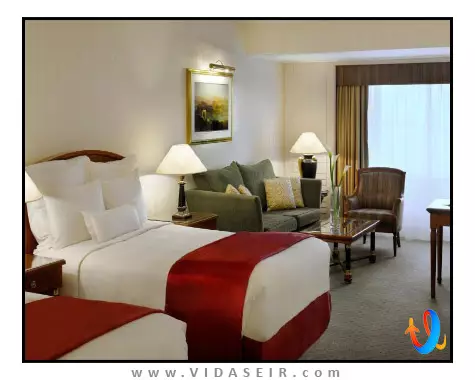 بریستول دبی