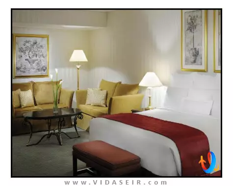 بریستول دبی