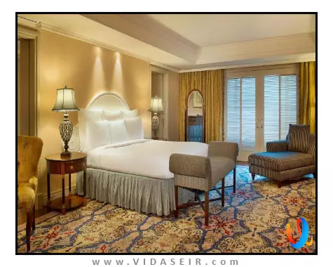 بریستول دبی