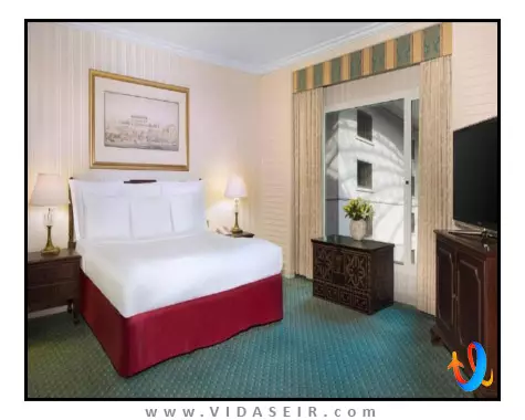 بریستول دبی