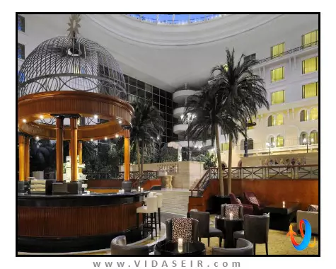 بریستول دبی