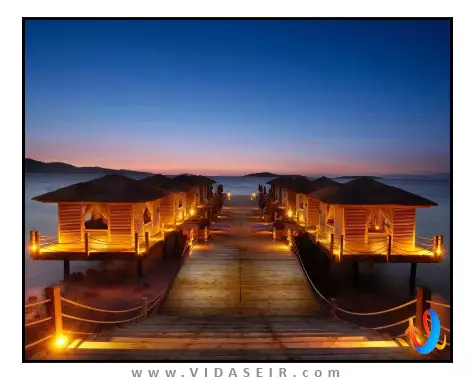 بی پرمیوم بدروم