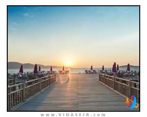 بی پرمیوم بدروم