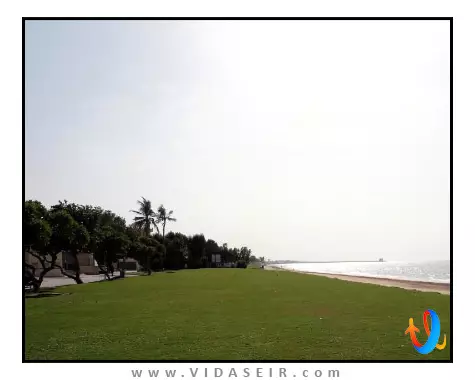 بیچ بی مقسط