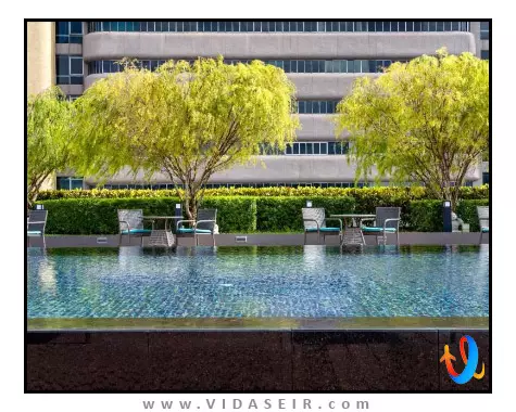 تراولتین سنگاپور