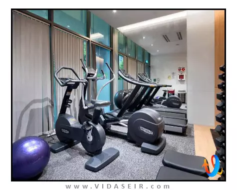 تراولتین سنگاپور