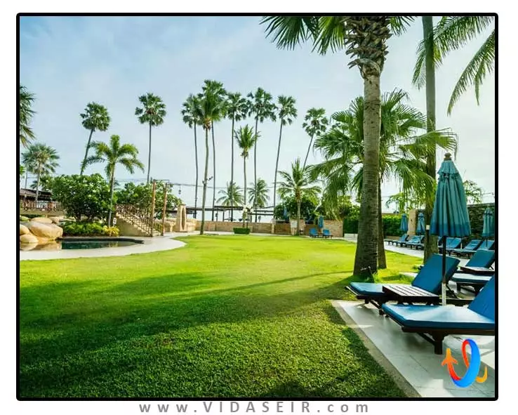 جامتین پالم بیچ پاتایا