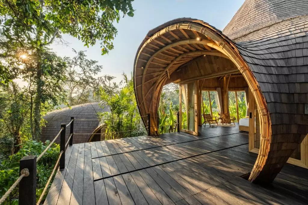 جنگل ایت بالی