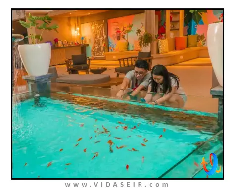 جی فور لوگیان بالی