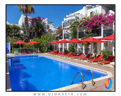 د هلو بدروم