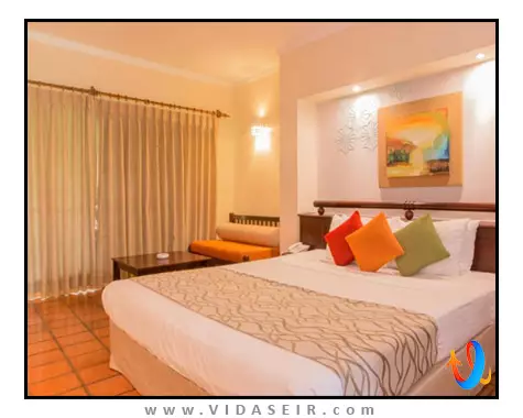 د پالمز بنتوتا