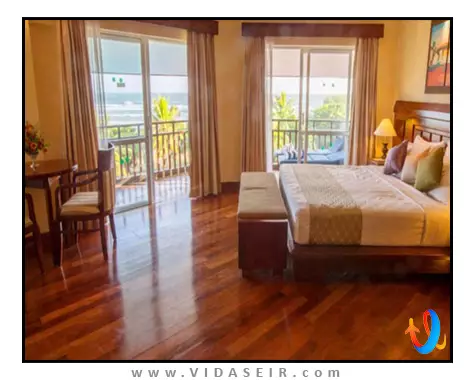 د پالمز بنتوتا