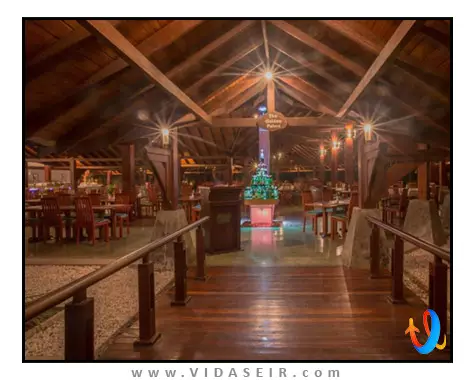 د پالمز بنتوتا