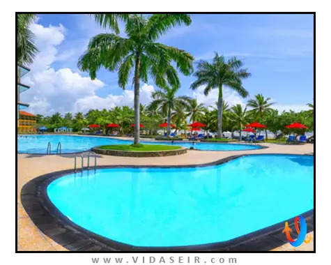 د پالمز بنتوتا