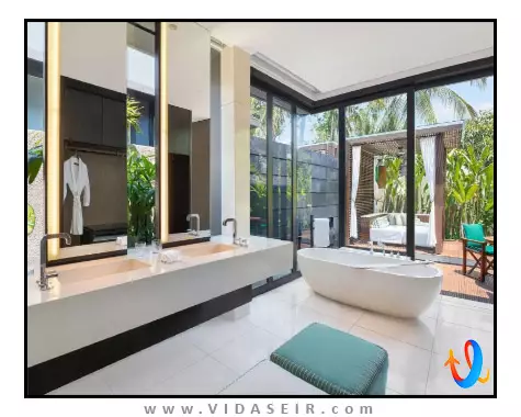 دبلیو بالی سمینیاک