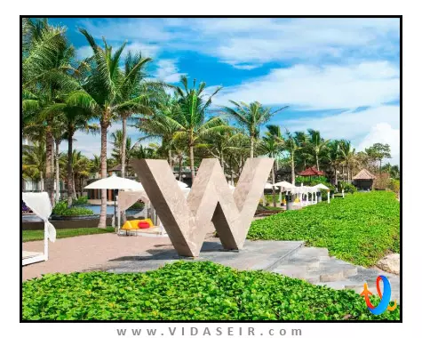 دبلیو بالی سمینیاک