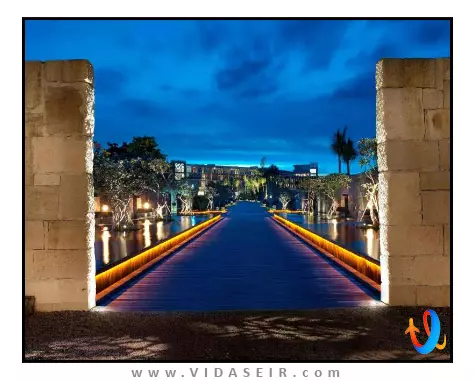 دبلیو بالی سمینیاک