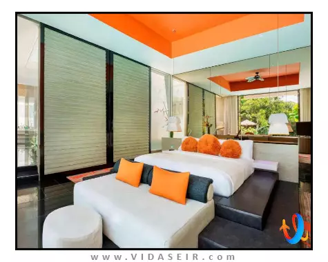 دبلیو بالی سمینیاک