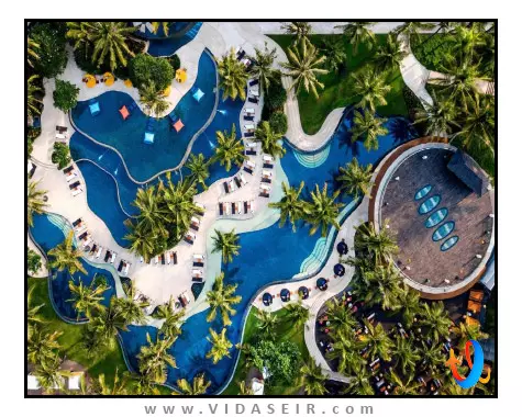 دبلیو بالی سمینیاک