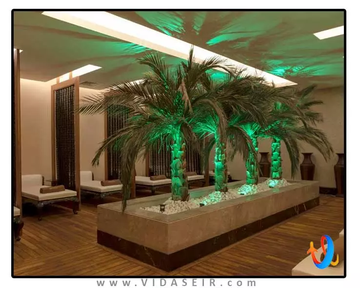 دلفین امپریال لارا آنتالیا