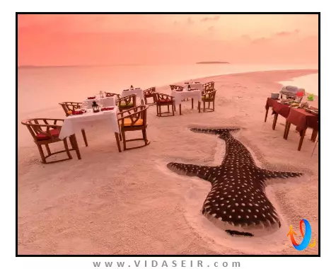 دهیگوفارو آیلند ریزورت مالدیو