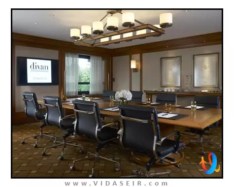 دیوان استانبول