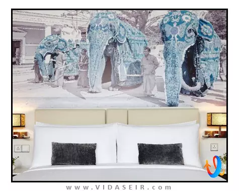 رادیسون کندی