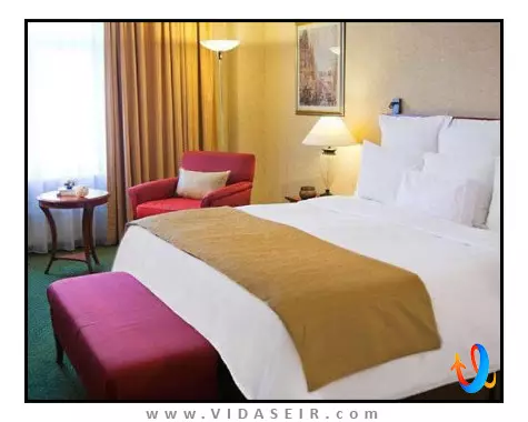 رنسانس سنت پترزبورگ بالتیک