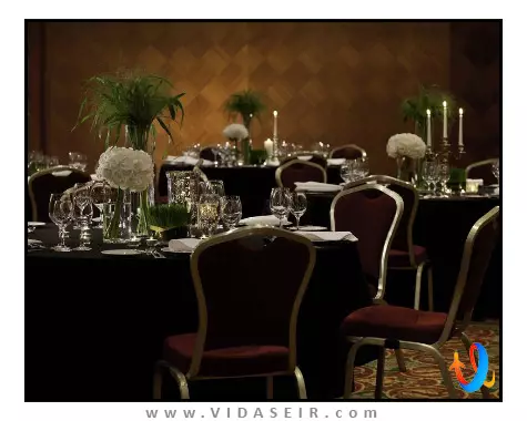 رنسانس سنت پترزبورگ بالتیک