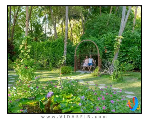 رویال آیلند ریزورت اند اسپا مالدیو