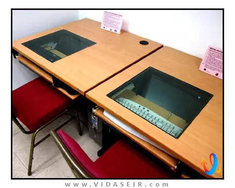 رویال ات نیوتون سنگاپور