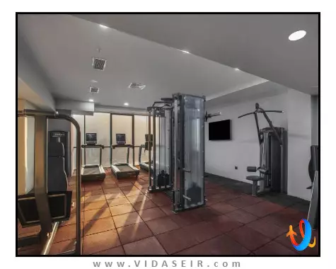 رویال تولیپ تفلیس