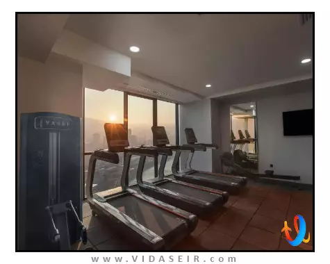 رویال تولیپ تفلیس