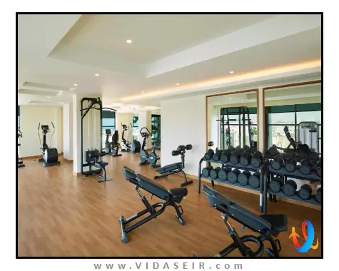 رویال تولیپ مسقط