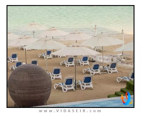 رویال سنترال د پالم دبی