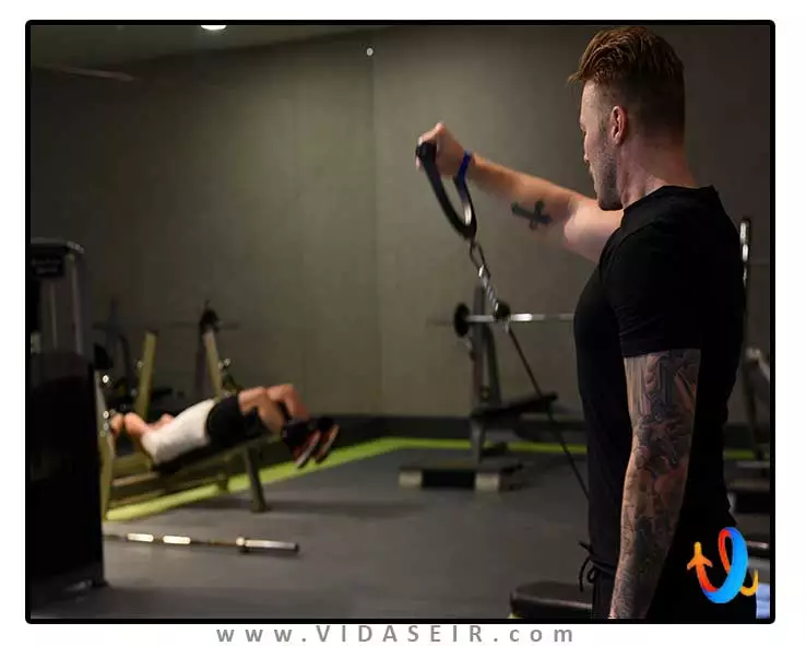 رویال وینگز آنتالیا