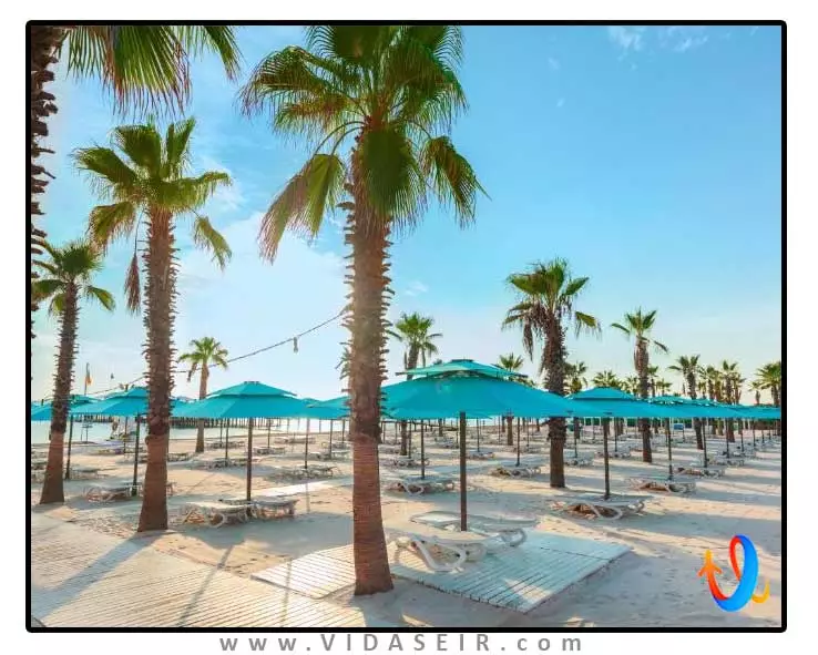 رگنوم کاریا بلک آنتالیا