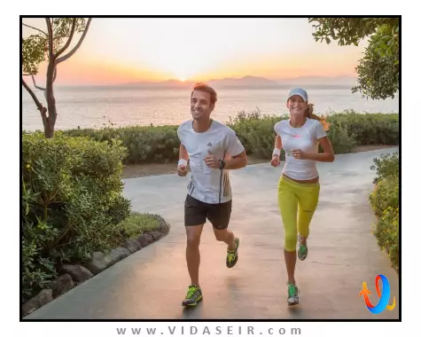 زانادو آیلند بدروم