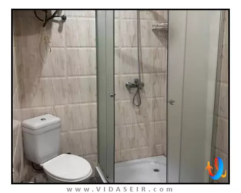 زیتون باتومی