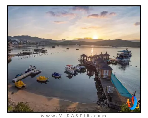 سلکتوم کالرز بدروم